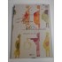 COLECTIA DE ARTA ROMANEASCA; ROMANIAN ART COLLECTION - MARINA DIMITROPOULOS - ALBUM